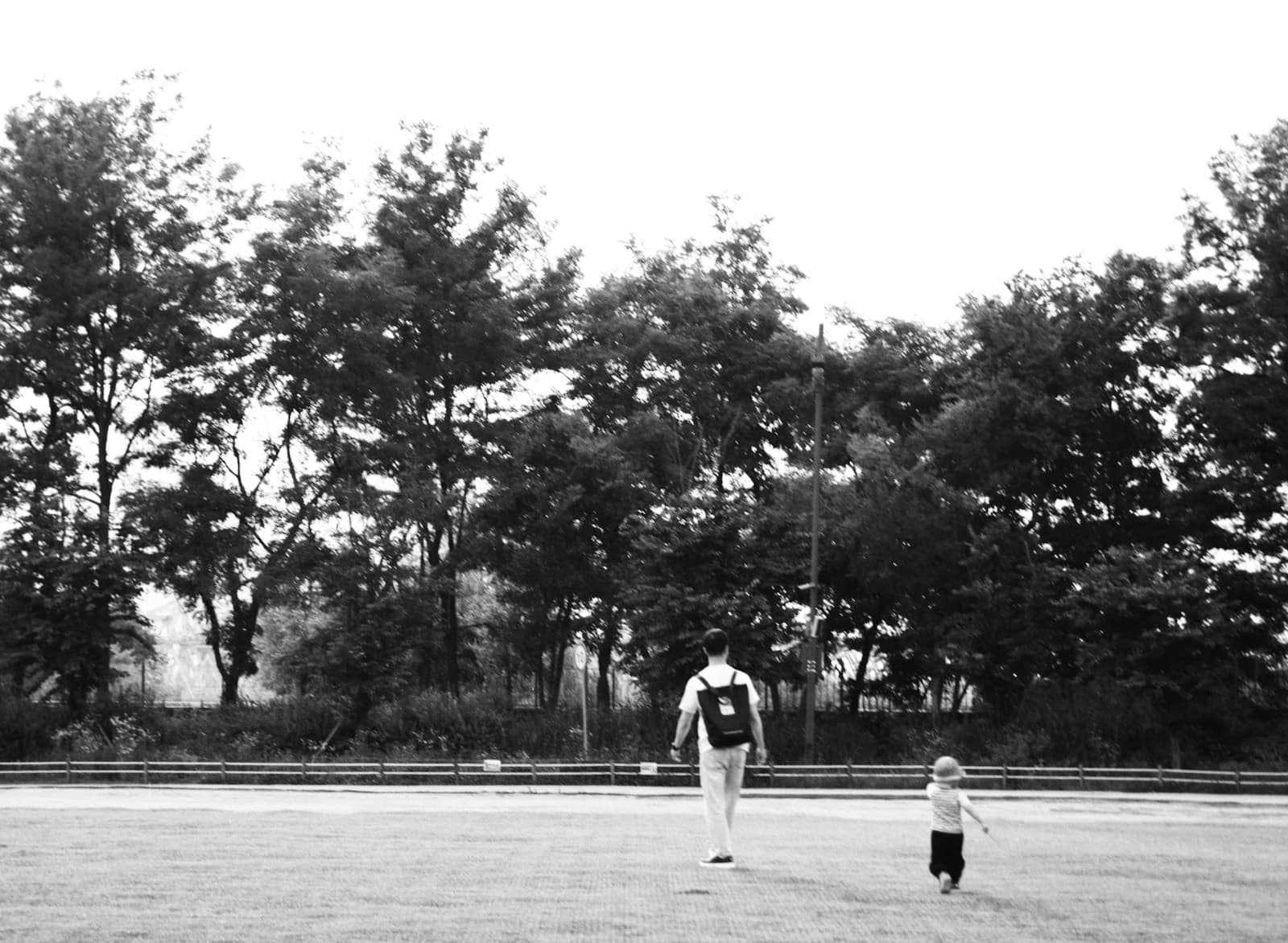 Adult and child walking hand in hand across a field